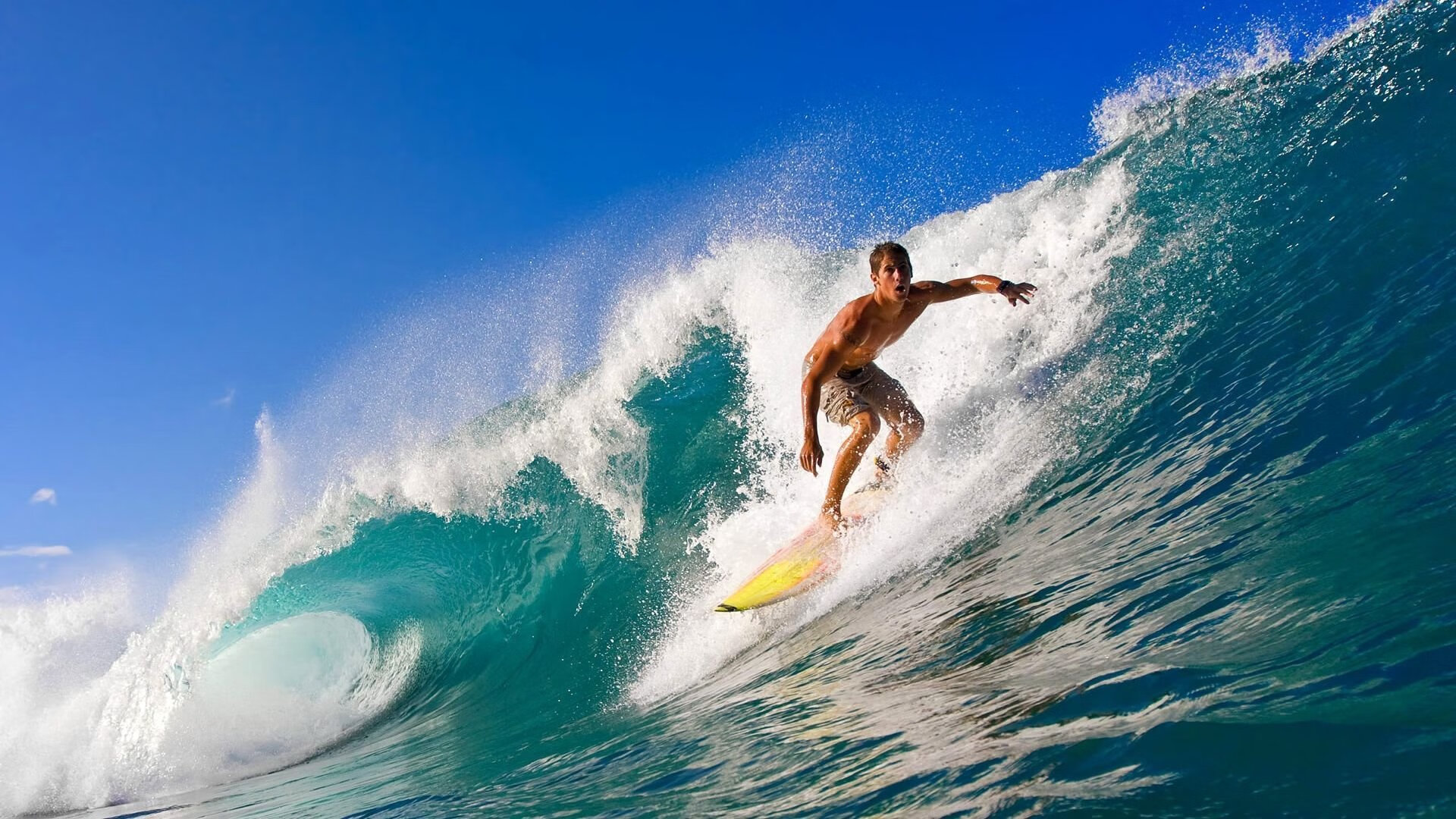 数字体育平台带动青少年篮球产业升级,行业潜力巨大,体育数字化平台