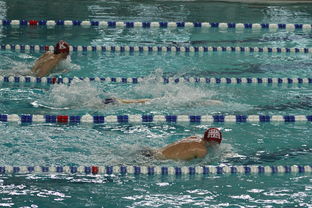 九游娱乐(jiuyou)官方网站-中国游泳运动员世锦赛接力项目表现抢眼，中国游泳接力夺金