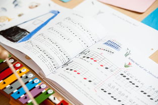 九游官方下载-中小学体育课安全教育实施现状研究，体育课堂安全背景下的小学体育课现状