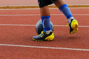 九游官网-篮球运动员心理健康支持体系构建，篮球运动员心理健康支持体系构建方案